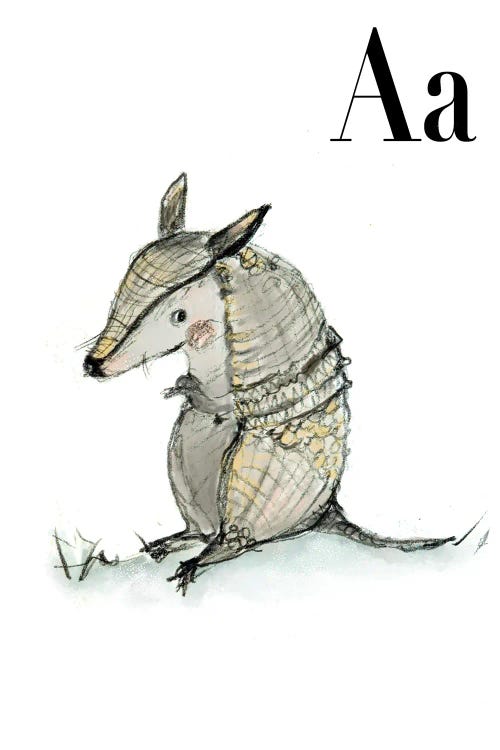 Armadillo