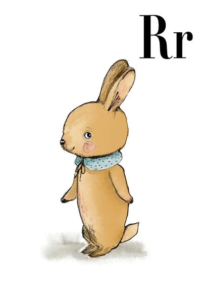 The Letter R: Rabbit by Paola Zakimi