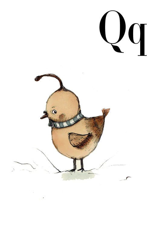 Quail by Paola Zakimi wall art