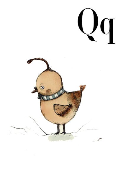 Quails: Quail by Paola Zakimi