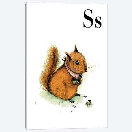 Squirrel Canvas Print #PZK163} by Paola Zakimi Canvas Print