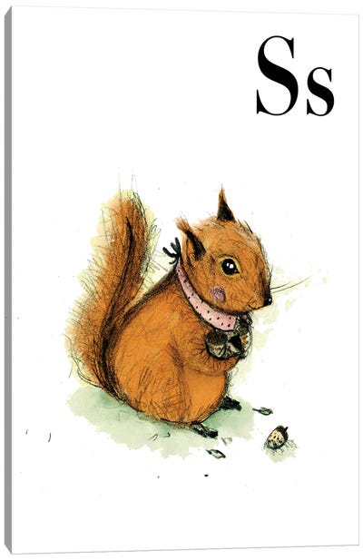 Squirrel Canvas Art Print - Letter S