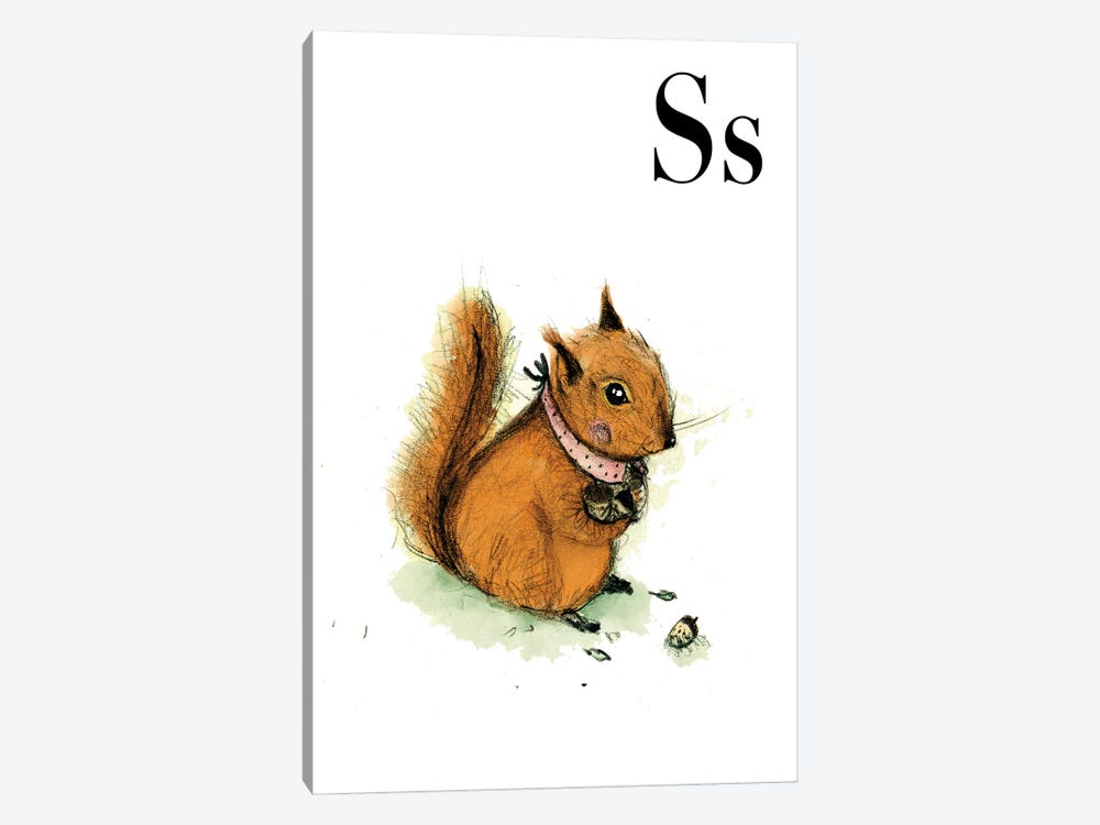 Squirrel by Paola Zakimi 1-piece Canvas Art Print
