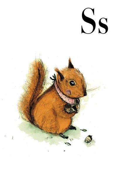 The Letter S: Squirrel by Paola Zakimi