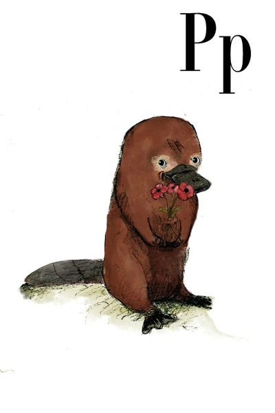 Alphabet: Platypus by Paola Zakimi