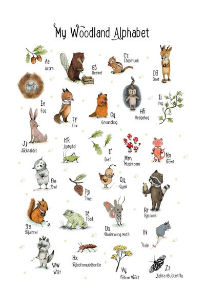 Alphabet: Abc Woodland by Paola Zakimi
