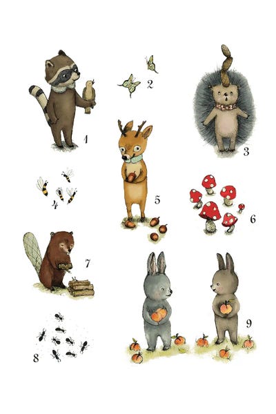 Mathematics: Numbers by Paola Zakimi