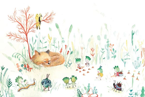 Sleeping & Napping: Siembra by Paola Zakimi