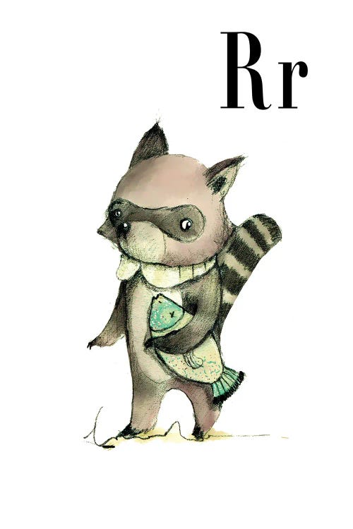 Raccoon