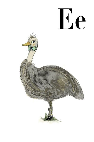 Emus: Emu by Paola Zakimi