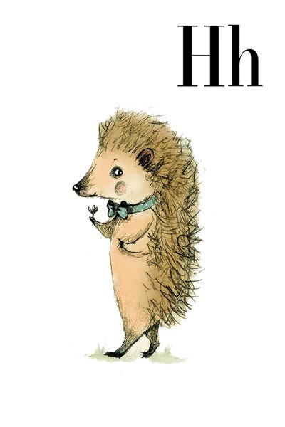 Hedgehogs: Hed by Paola Zakimi