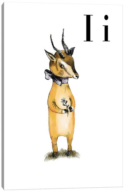 Impala Canvas Art Print - Antelope Art