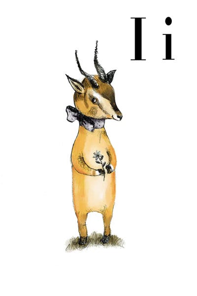 Antelopes: Impala by Paola Zakimi