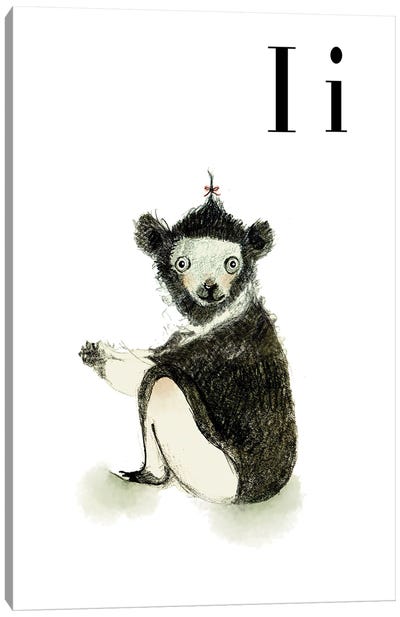 Indri Canvas Art Print - Lemur Art