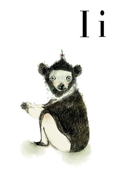 Lemurs: Indri by Paola Zakimi