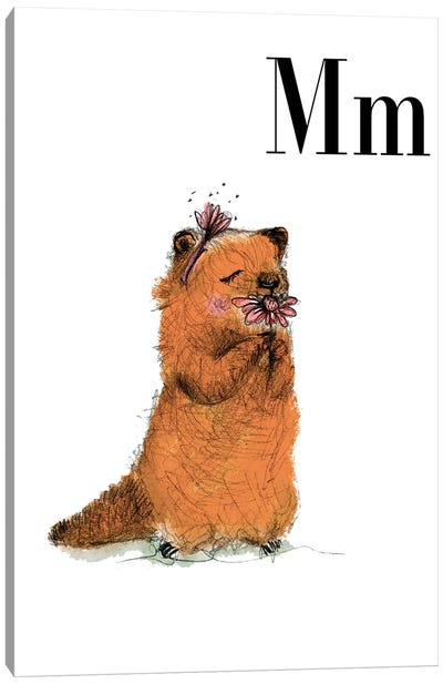 Marmot Canvas Art Print - Letter M