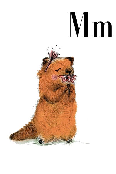 The Letter M: Marmot by Paola Zakimi