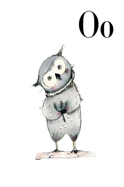 Owl by Paola Zakimi wall art