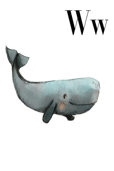 The Letter W: Whale by Paola Zakimi