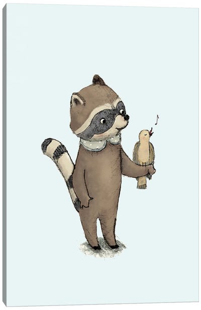 Raccoon II Canvas Art Print - Paola Zakimi