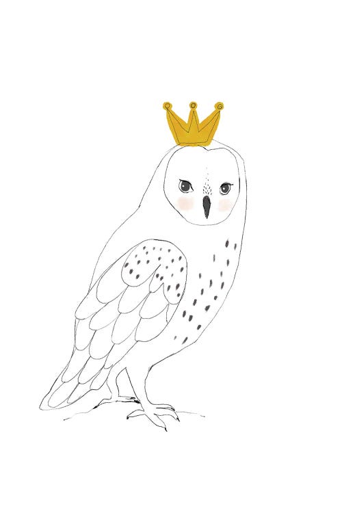 King Owl by Paola Zakimi wall art