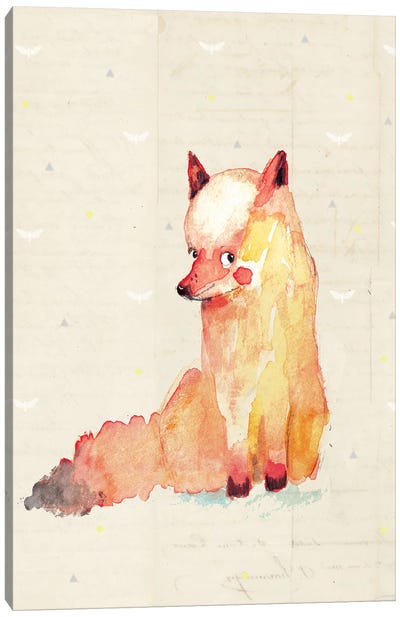 Baby Fox Canvas Art Print - Paola Zakimi