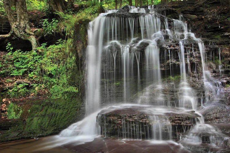 Gunn Brooks Falls