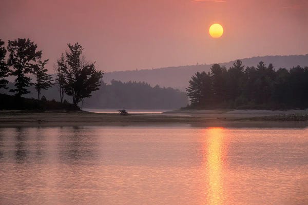 Patrick Zephyr: Morning Shimmer by Patrick Zephyr