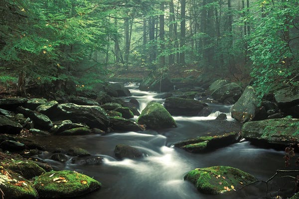 Patrick Zephyr: Sawmill River by Patrick Zephyr