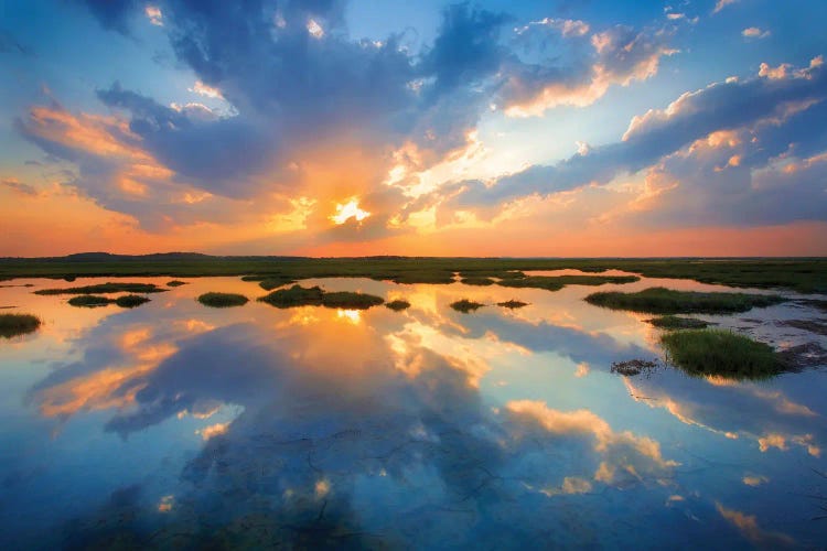 Plum Island by Patrick Zephyr wall art