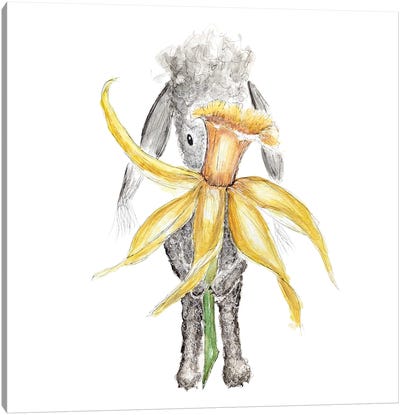 Summer's Daffodil Canvas Art Print - Daffodil Art