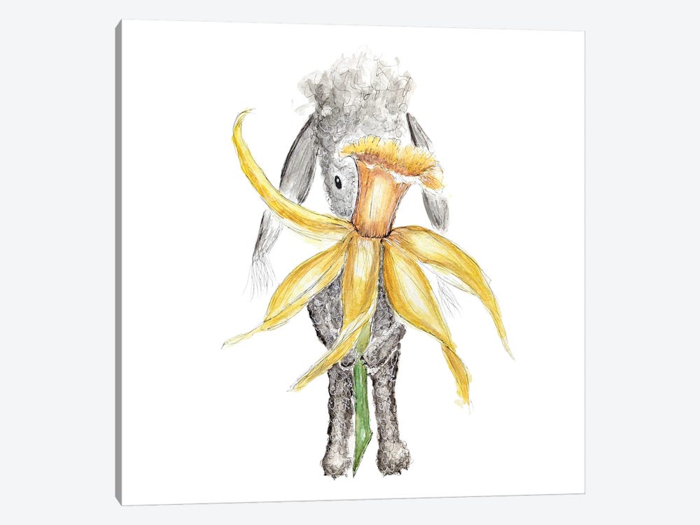 Summer's Daffodil by The Quaint and Quirky 1-piece Canvas Art
