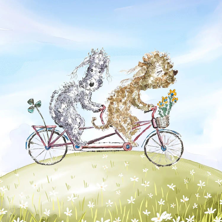 Tandem Ride