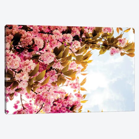 London Blossom Canvas Print #RAB103} by Grace Digital Art Co Art Print