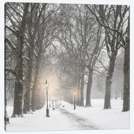 London Snow In Green Park Canvas Print #RAB108} by Grace Digital Art Co Art Print