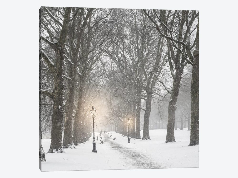 London Snow In Green Park by Grace Digital Art Co 1-piece Canvas Artwork