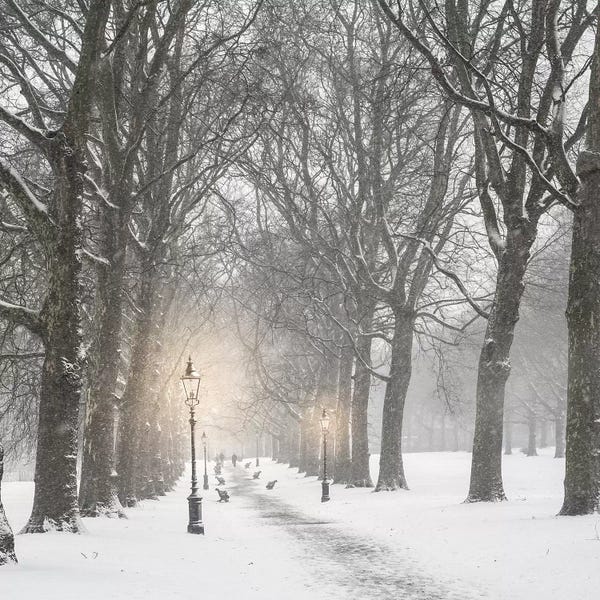 Grace Digital Art Co: London Snow In Green Park by Grace Digital Art Co