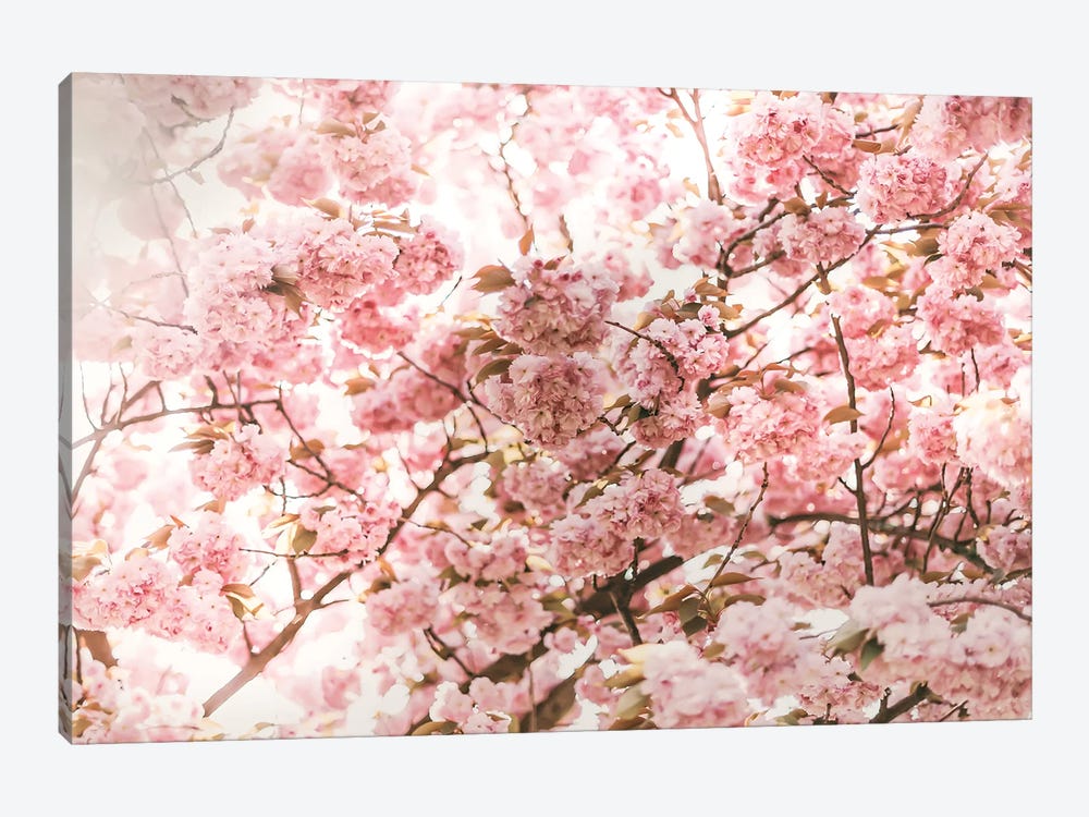 Pink Blossom by Grace Digital Art Co 1-piece Canvas Art Print