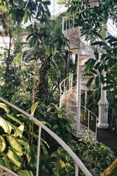 Reclaimed By Nature: Glass House by Grace Digital Art Co