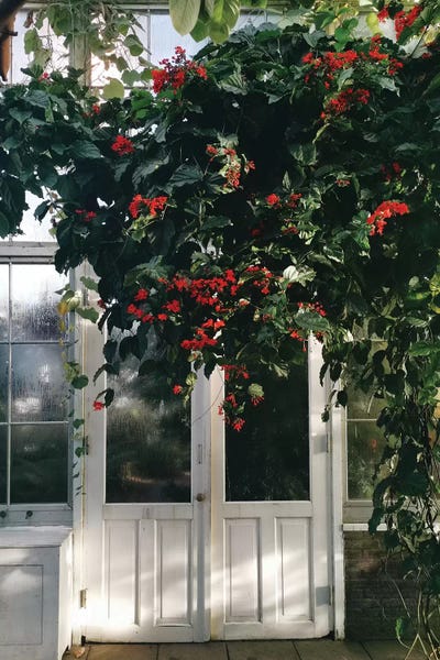 Grace Digital Art Co: Berries by Grace Digital Art Co