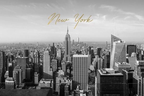 New York City Skylines: New York In Black And White by Grace Digital Art Co