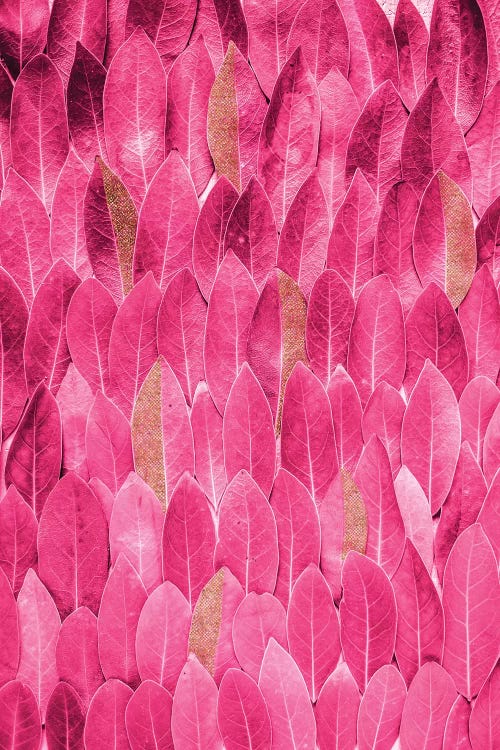 Gold Pink Leaves by Grace Digital Art Co wall art