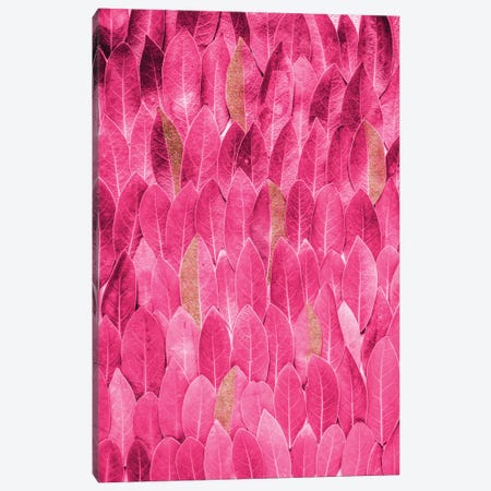 Gold Pink Leaves Canvas Print #RAB196} by Grace Digital Art Co Canvas Print