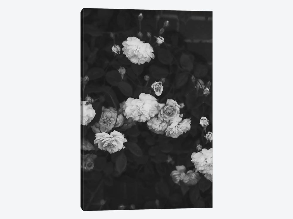 Black And White Roses by Grace Digital Art Co 1-piece Art Print
