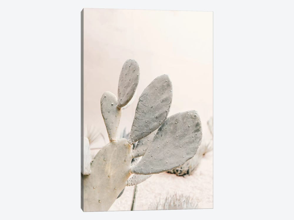 Neutral Cactus by Grace Digital Art Co 1-piece Art Print