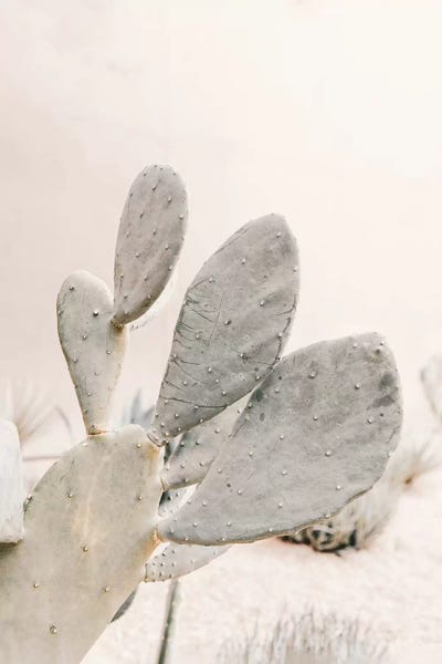 Grace Digital Art Co: Neutral Cactus by Grace Digital Art Co