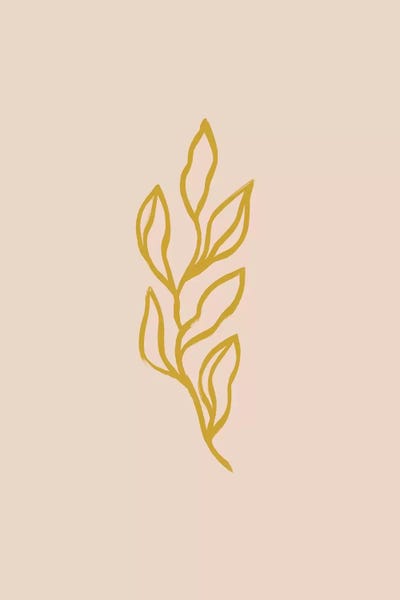 The Cut Outs Collection: Floral Line Art II by Grace Digital Art Co