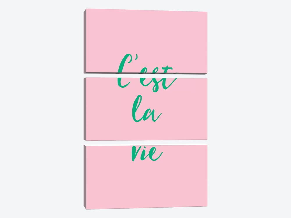 C'est La Vie Pink And Green by Grace Digital Art Co 3-piece Canvas Wall Art