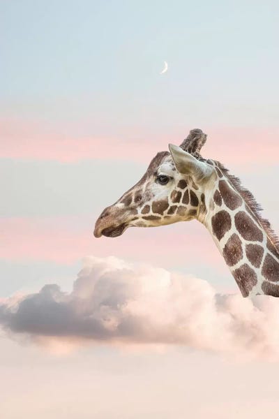 Head In The Clouds: Dreaming Giraffe by Grace Digital Art Co