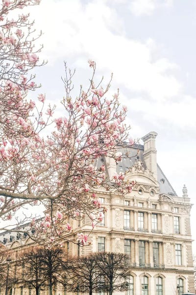 Spring: Paris Magnolia by Grace Digital Art Co